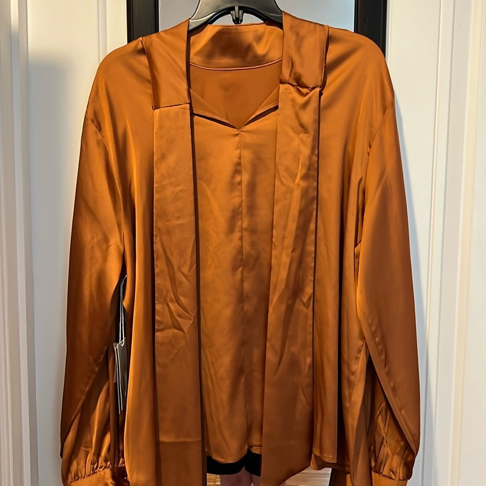 NWT Worthington Tie Neck Blouse